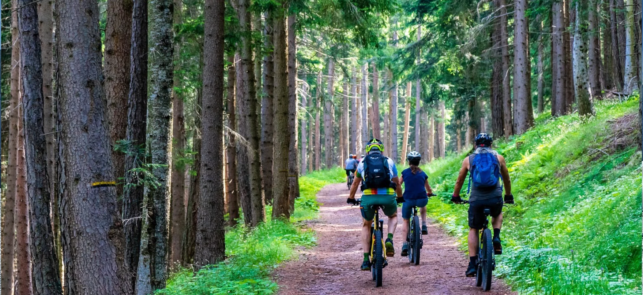 Top 5 electric mountain bike trails in Chamonix